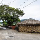 제주돌담 이미지