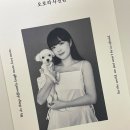 오로라사진관 이미지