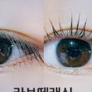 라보떼래쉬 이미지