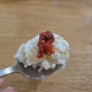 밑반찬 저염젓갈 오씨상회 씨앗 젓갈 후기