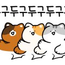 렌즈미 의정부 행복로점 이미지