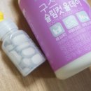 올데이라인