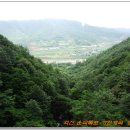 야촌(위) Daum카페