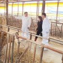 태인한우농장 이미지