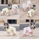 올인원아이스크림 - 안성시 공도로 132 | 올인원아이스크림