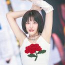 장미앨범사진기획 이미지