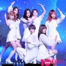 리틀트리미디어