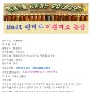 [ 3박스 한정 ] 🍠 무안 꿀밤고구마(긴,상 크기) 이미지