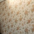 동이비어 이미지