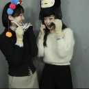 키다리아저씨 애견샵 | 일주일의 시작과 끝을 한라산으로