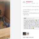 농부원예 이미지