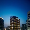 스테이놀 이미지