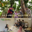 풀뜯소 농장 이미지