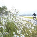 첨단교(거점터미널) 이미지