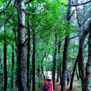 비오람요양병원 이미지