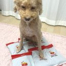 멍이로움 이미지