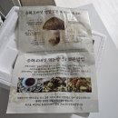 달팜마켓