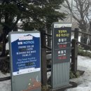 관음사 | 한라산 등산 초보도 가능한 성판악, 관음사 코스 후기 및 준비물