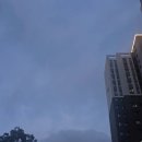 선부 다목적 체육관 이미지