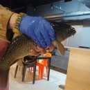 슈퍼붕 낚시카페 이미지