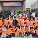 둥글이태권도 이미지