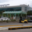 인천항1국제여객터미널 지게차(연안부두) 이미지