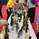 물들목 | 대전와인축제 2025 대전국제와인엑스포 현장 꿀팁 후기