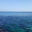 동해바다 이미지