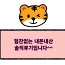 블루망고투어 이미지