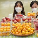 노화농협하나로마트