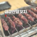 금강산양꼬치 - 서천군 신창서로 84 | 금강산양꼬치