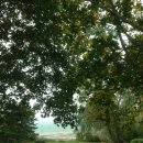 오근농장 이미지