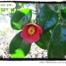 양화농장 이미지