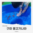 지산낚시터 | 구미 가볼만한 곳 물고기나라 후기, 아이랑 즐긴 물고기 잡기 체험