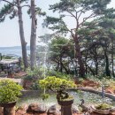 마리조아펜션 이미지