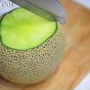 멜론 이미지