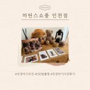 [인천/서구]인천아기사진 스튜디오 마틴스쇼룸 인천점 150일 촬영 후기