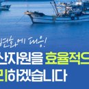 동해-단속-34 이미지