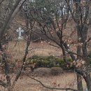 신유 묘역 이미지