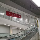 코스트코 하남점 12월 상품 회원권 갱신 선물 와인 추천 할인 상품 아이쇼핑 한 후기