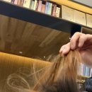 강변서로 | 하남미사_준오헤어 미사강변점 도연디자이너(뿌리염색) 후기