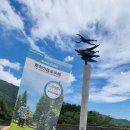 일본여행 하코네 코스 추천｜야외 ‘조각의 숲&#39; 피카소미술관