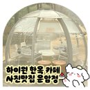 황제베이커리 | 하이원리조트 베이커리 한옥카페 운암정 | 사진찍으러 오는곳