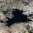경주 풀빌라 | [경주] 사계절수영장 있는 호수뷰 경주감성숙소 추천 ‘금빛채풀빌라’ (feat. 경주풀빌라)