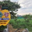 서동팜 이미지