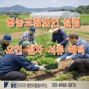 대구농산물생산자영농조합법인 | 영농조합법인 설립, 요건·절차·서류·혜택까지 한 번에 정리 대구 행정사