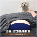 바른꼴개발 | 가벼운결혼선물 찾다 발견한 슬룸 골반마사지기 | 신혼부부 선물로 딱이었던 솔직후기