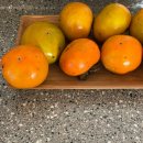 [배우러 온 김해]12/11 핸드드립 | 그저 좋았던 기억만 담아보려 해