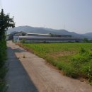 천북면사무소 이미지