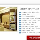 올래이사 Daum카페